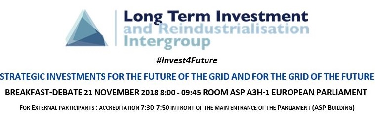 Long Term Investment Intergroup Strategic Investments for the Future of the Grid and for the Grid of the Future2